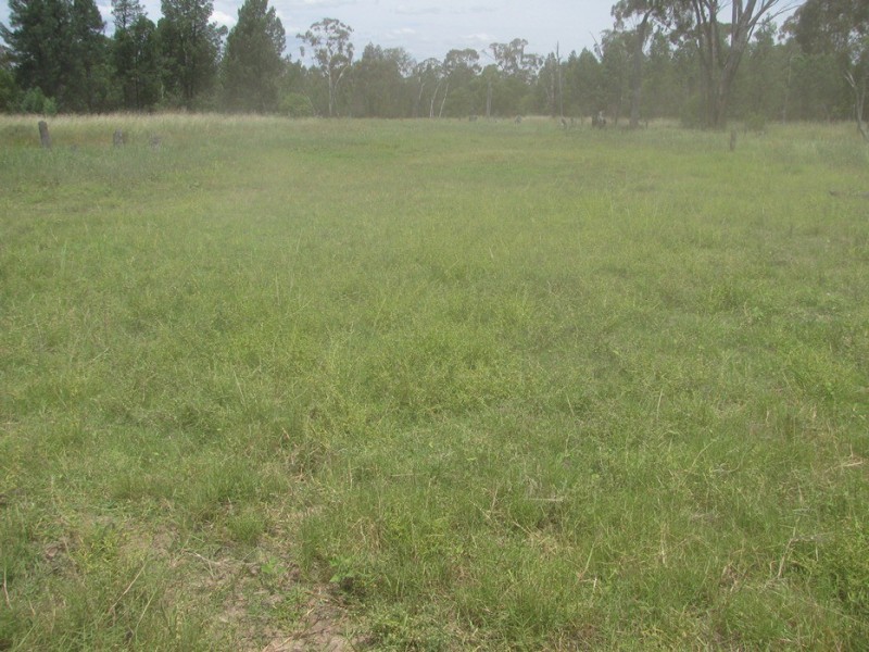 Rewalyn Pilliga-Gwabegar Road, Narrabri NSW 2390