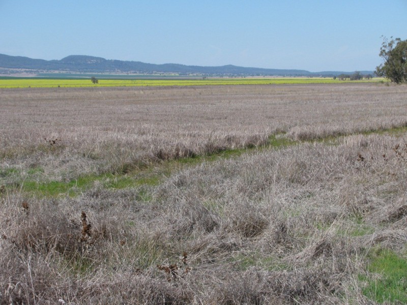 KIDGERY, Howes Hill Road, Gunnedah NSW 2380