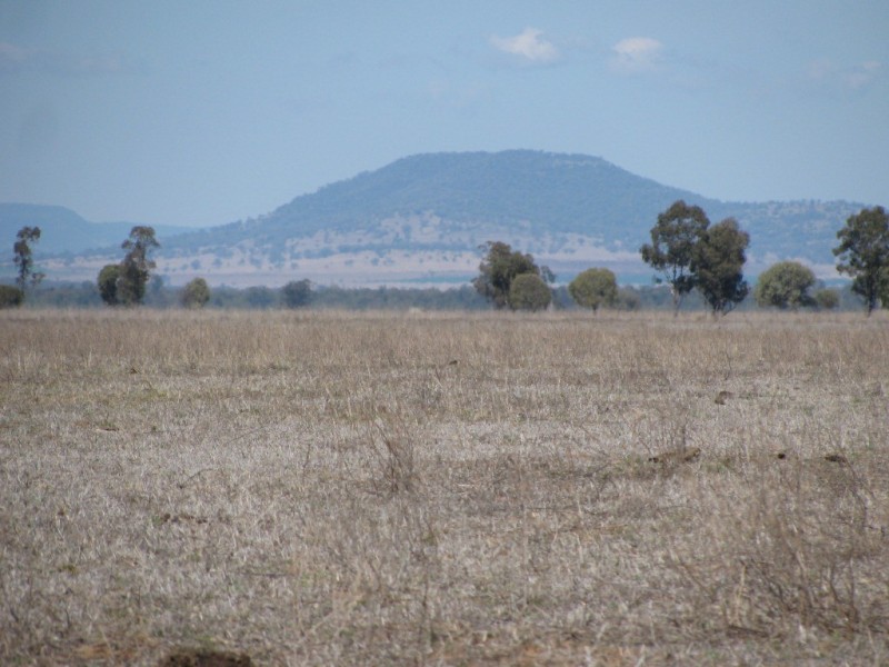 KIDGERY, Howes Hill Road, Gunnedah NSW 2380