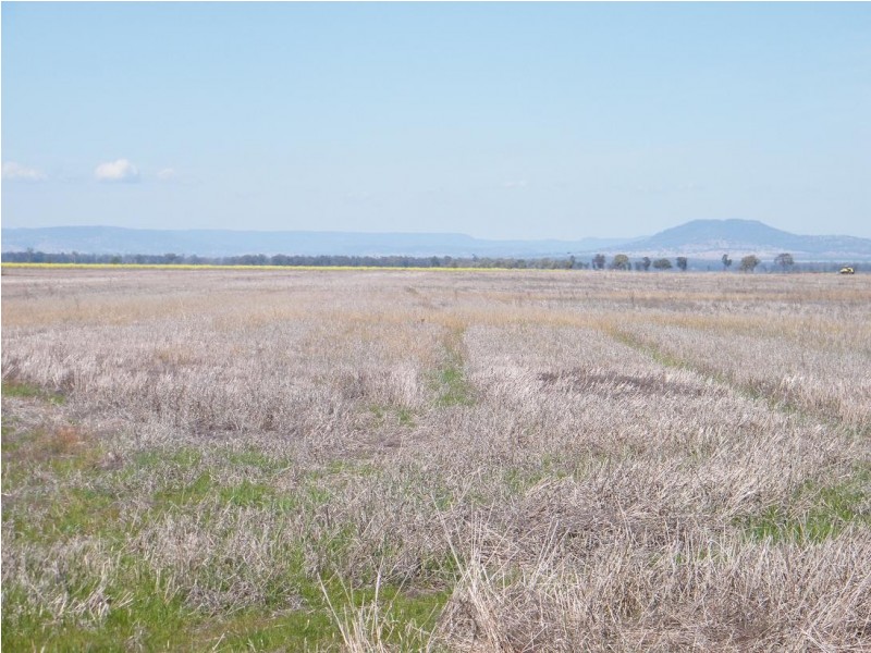 KIDGERY, Howes Hill Road, Gunnedah NSW 2380