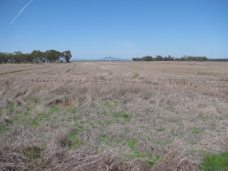 KIDGERY, Howes Hill Road, Gunnedah NSW 2380