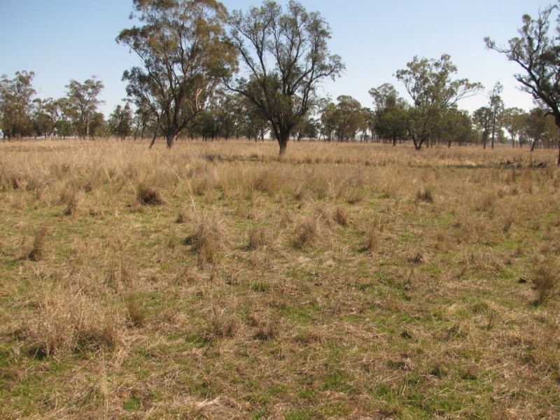 KIDGERY, Howes Hill Road, Gunnedah NSW 2380