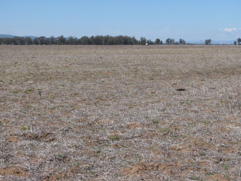 KIDGERY, Howes Hill Road, Gunnedah NSW 2380