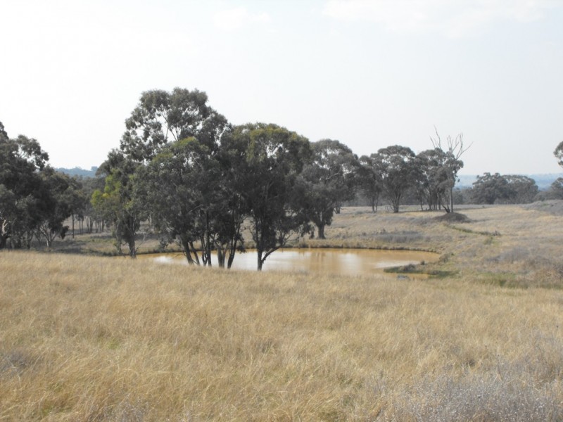GLEN VALLEY Woodstock Road, Inverell NSW 2360