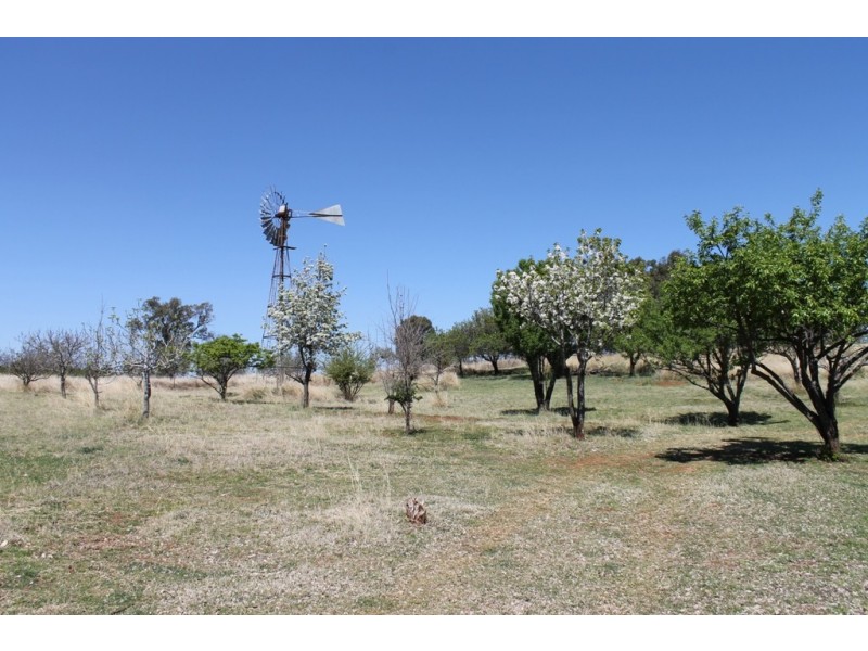 TULLOCH Tullochard West Road, Inverell NSW 2360