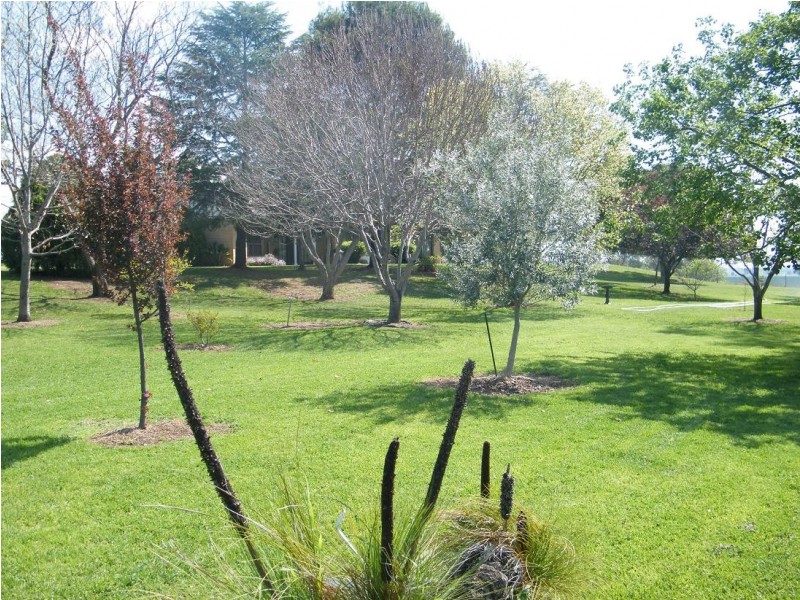 WYLANDRA, Kamilaroi Hwy, Quirindi NSW 2343