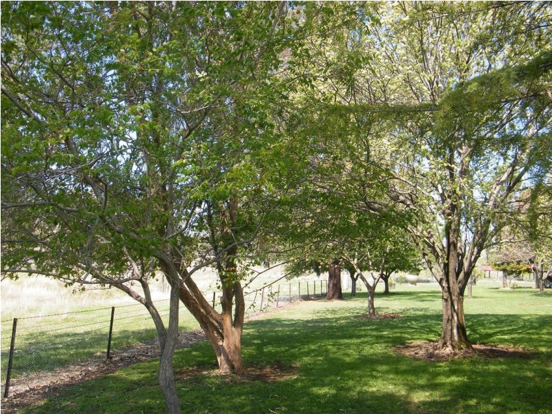 WYLANDRA, Kamilaroi Hwy, Quirindi NSW 2343