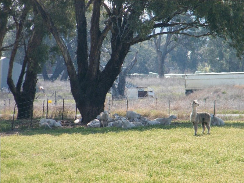 WYLANDRA, Kamilaroi Hwy, Quirindi NSW 2343