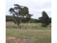 “Carraganoo” 402 Belowrie Road, Dubbo NSW 2830