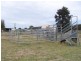 “Carraganoo” 402 Belowrie Road, Dubbo NSW 2830