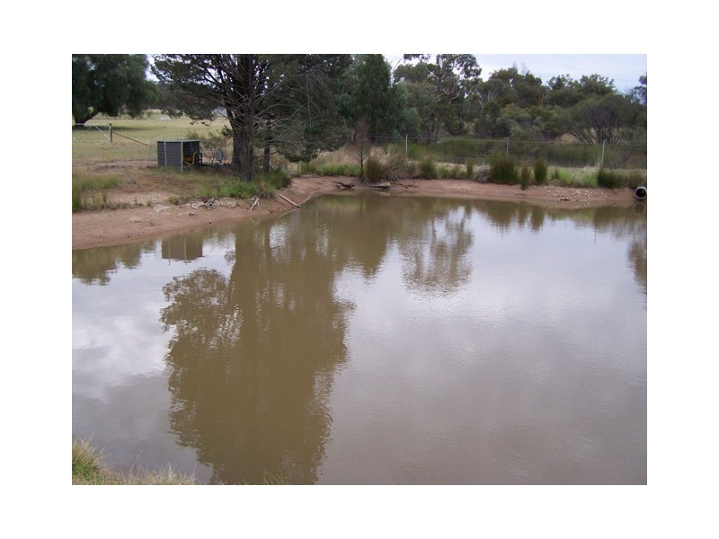 “Carraganoo” 402 Belowrie Road, Dubbo NSW 2830