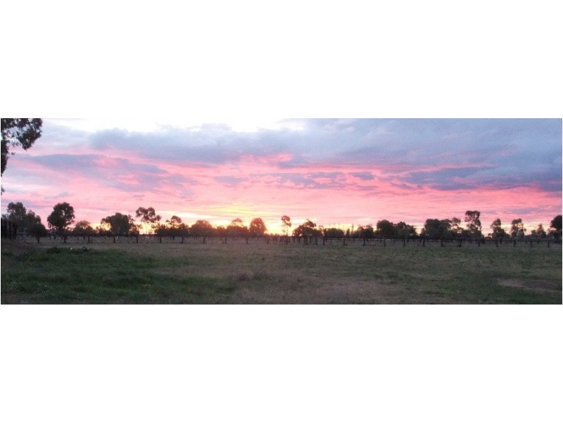 “Kataluka” Shanley Lane, Gunnedah NSW 2380
