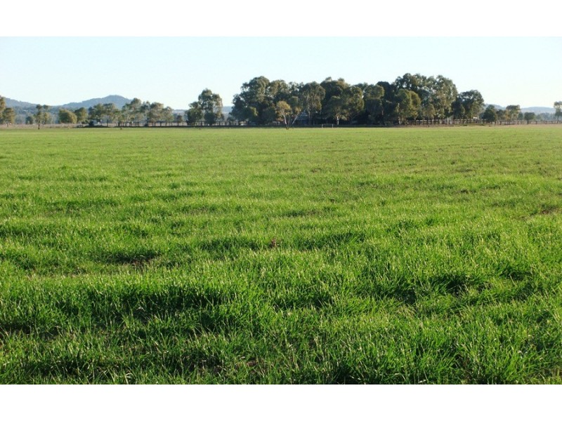 “Kataluka” Shanley Lane, Gunnedah NSW 2380