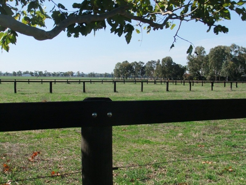 “Kataluka” Shanley Lane, Gunnedah NSW 2380