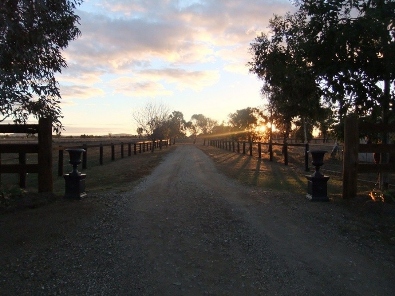 “Kataluka” Shanley Lane, Gunnedah NSW 2380