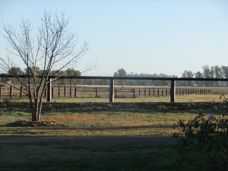 “Kataluka” Shanley Lane, Gunnedah NSW 2380