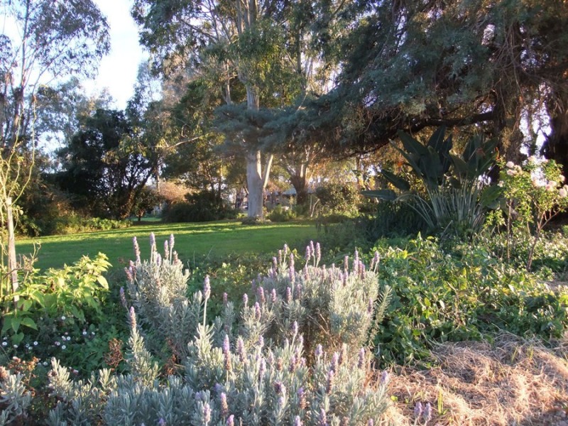 “Kataluka” Shanley Lane, Gunnedah NSW 2380