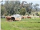TARRALEE, PIALLAWAY /, Quirindi NSW 2343