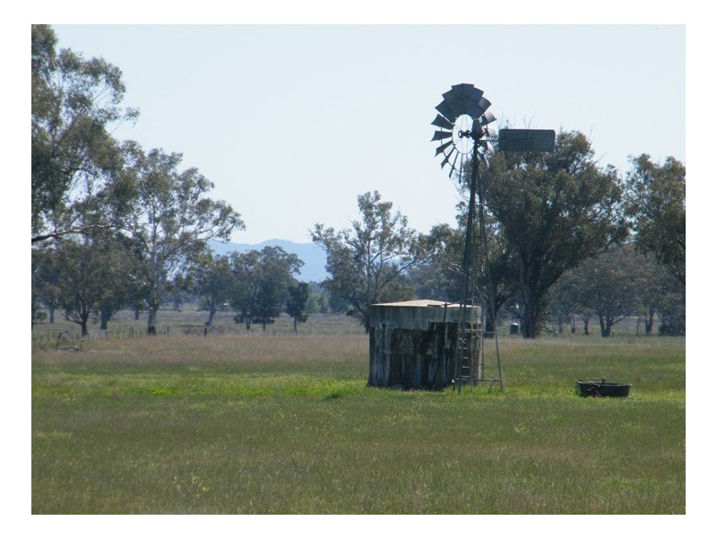TARRALEE, PIALLAWAY /, Quirindi NSW 2343