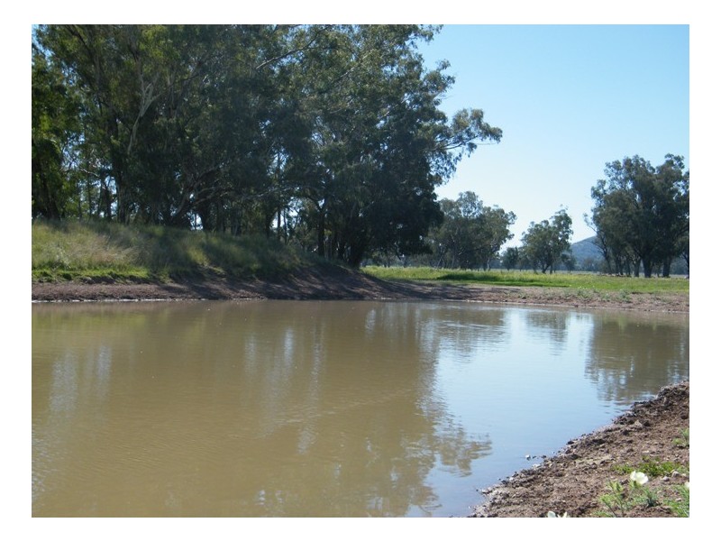TARRALEE, PIALLAWAY /, Quirindi NSW 2343