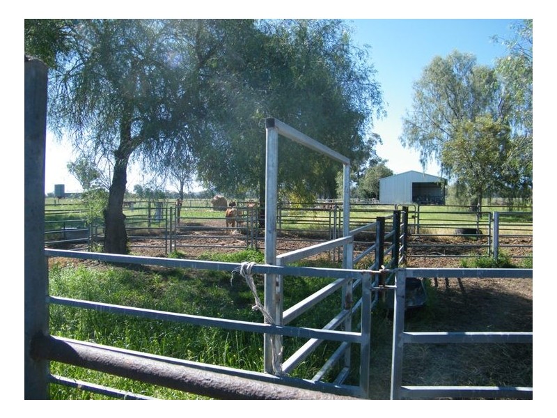 TARRALEE, PIALLAWAY /, Quirindi NSW 2343