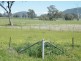 TARRALEE, PIALLAWAY /, Quirindi NSW 2343