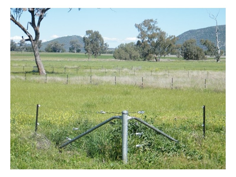 TARRALEE, PIALLAWAY /, Quirindi NSW 2343