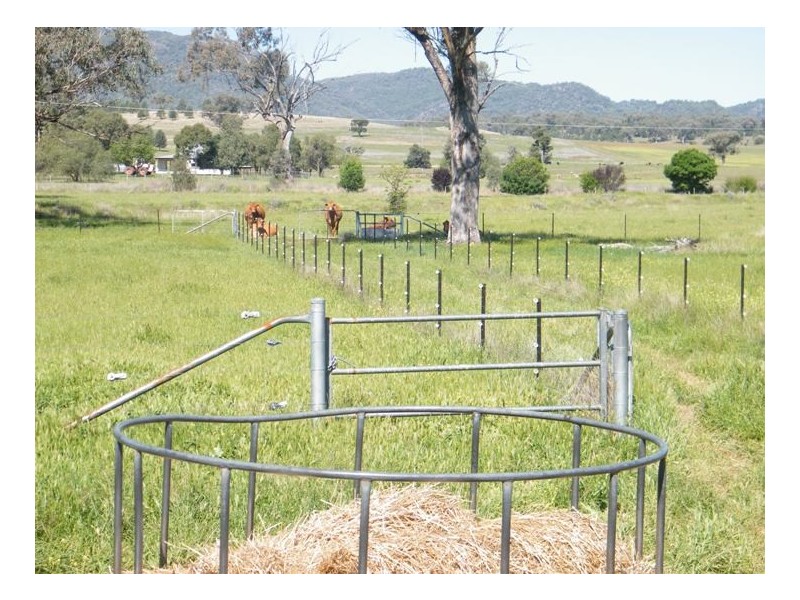 TARRALEE, PIALLAWAY /, Quirindi NSW 2343