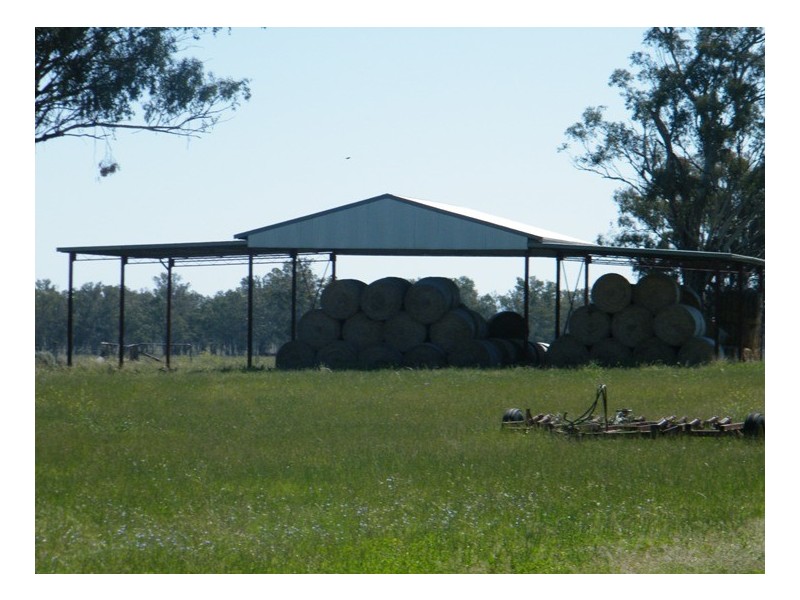 TARRALEE, PIALLAWAY /, Quirindi NSW 2343