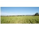 Blairwood 250 Blairmore Lane, Aberdeen NSW 2336