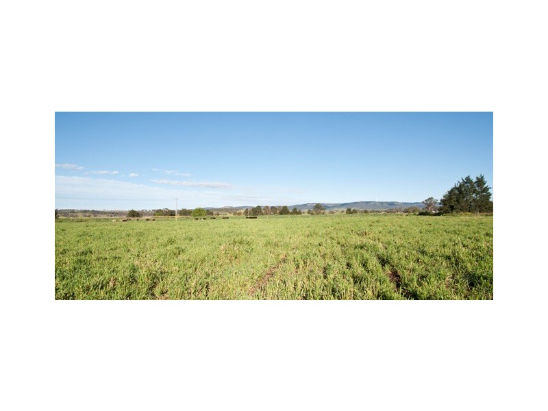 Blairwood 250 Blairmore Lane, Aberdeen NSW 2336