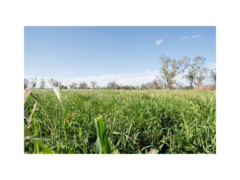 Blairwood 250 Blairmore Lane, Aberdeen NSW 2336