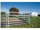 Blairwood 250 Blairmore Lane, Aberdeen NSW 2336