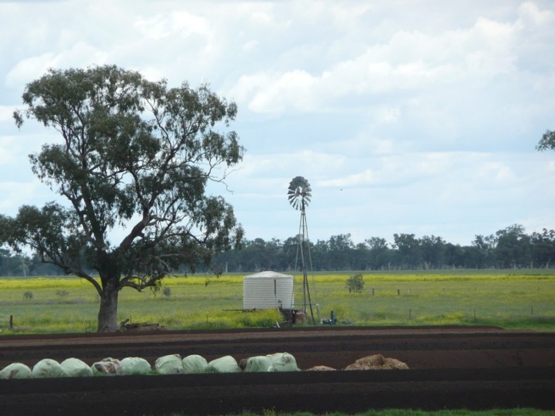 941 Normans Rd, Carroll NSW 2340