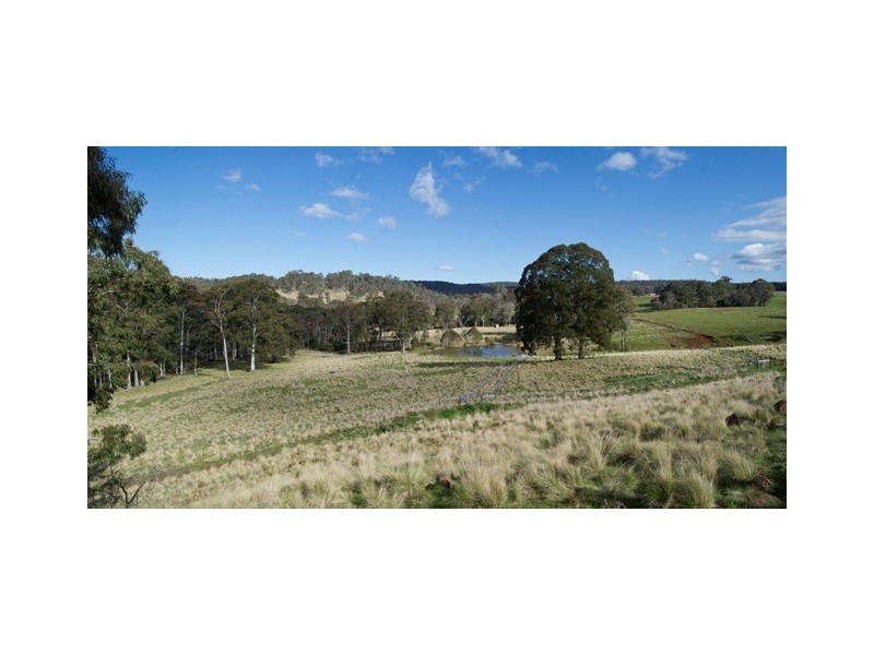 ”Echo” Tomalla rd, Scone NSW 2337