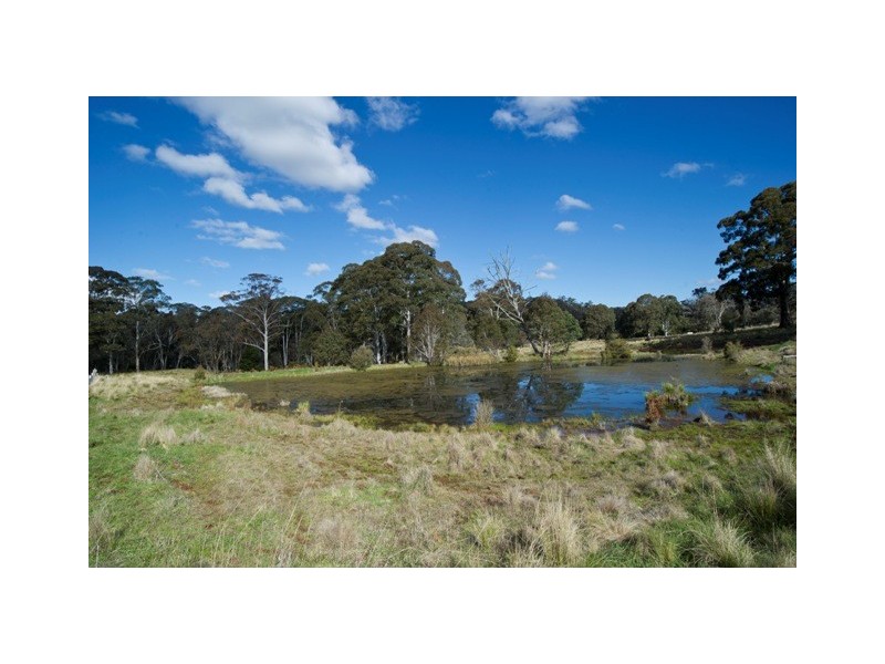 ”Echo” Tomalla rd, Scone NSW 2337
