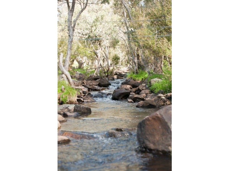 ”Echo” Tomalla rd, Scone NSW 2337