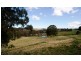 ”Echo” Tomalla rd, Scone NSW 2337