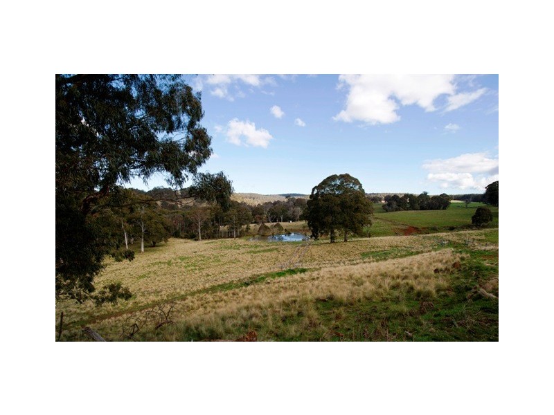 ”Echo” Tomalla rd, Scone NSW 2337