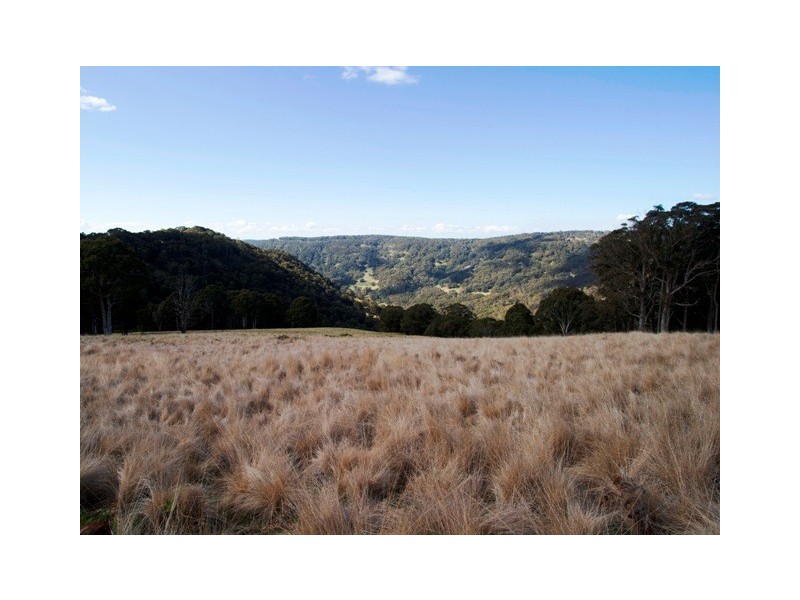 ”Echo” Tomalla rd, Scone NSW 2337