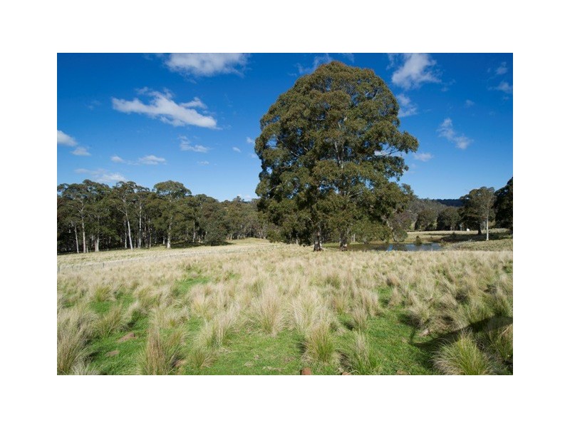 ”Echo” Tomalla rd, Scone NSW 2337