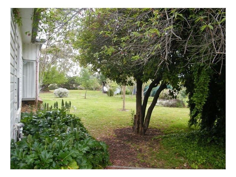 THE GUMS, Warrah Ck Rd, Willow Tree NSW 2339