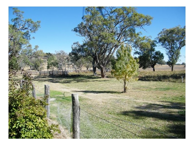 THE GUMS, Warrah Ck Rd, Willow Tree NSW 2339