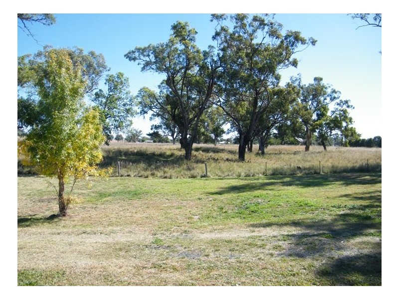 THE GUMS, Warrah Ck Rd, Willow Tree NSW 2339