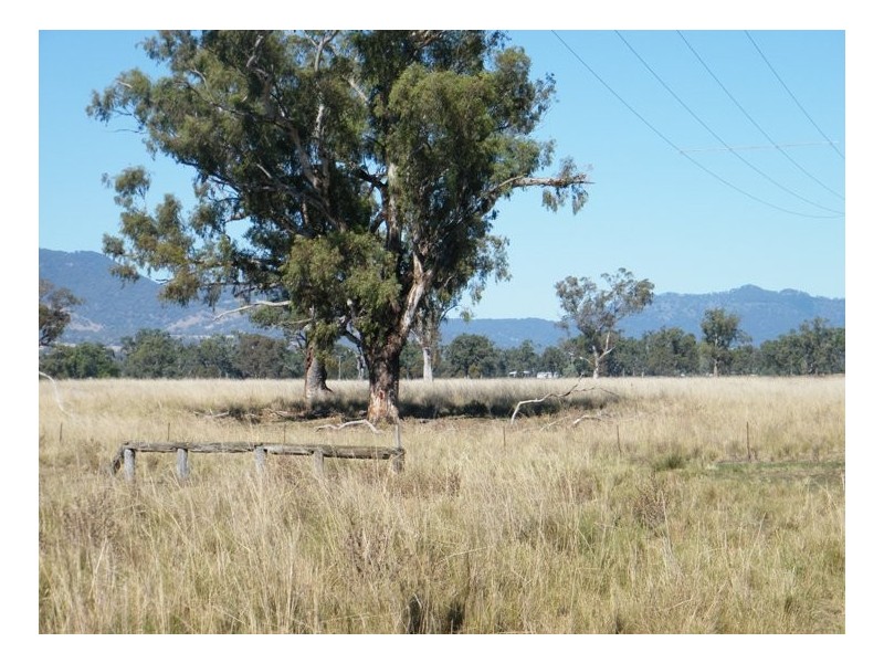 THE GUMS, Warrah Ck Rd, Willow Tree NSW 2339