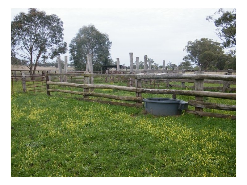 THE GUMS, Warrah Ck Rd, Willow Tree NSW 2339