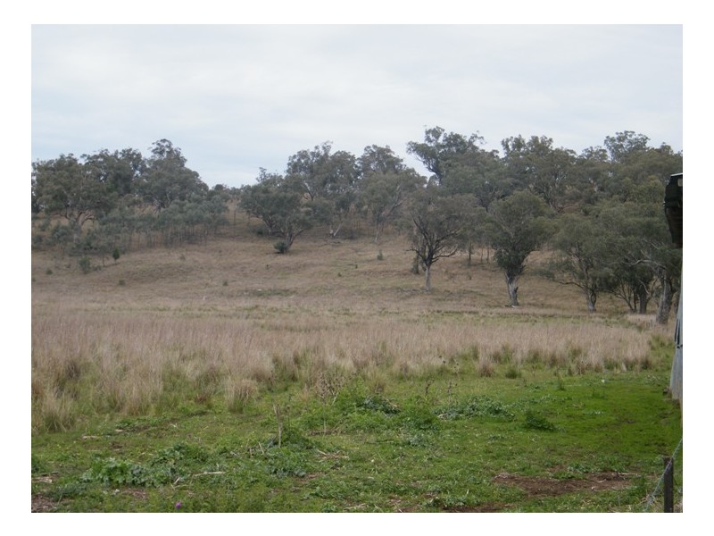 THE GUMS, Warrah Ck Rd, Willow Tree NSW 2339