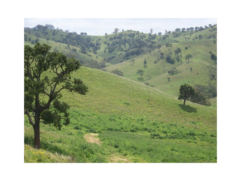 Wallaby Creek Dalvey Road, Rouchel, Scone NSW 2337