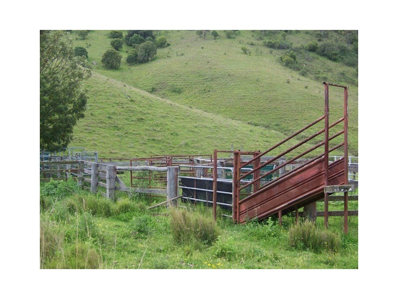 Wallaby Creek Dalvey Road, Rouchel, Scone NSW 2337