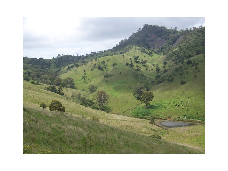 Wallaby Creek Dalvey Road, Rouchel, Scone NSW 2337